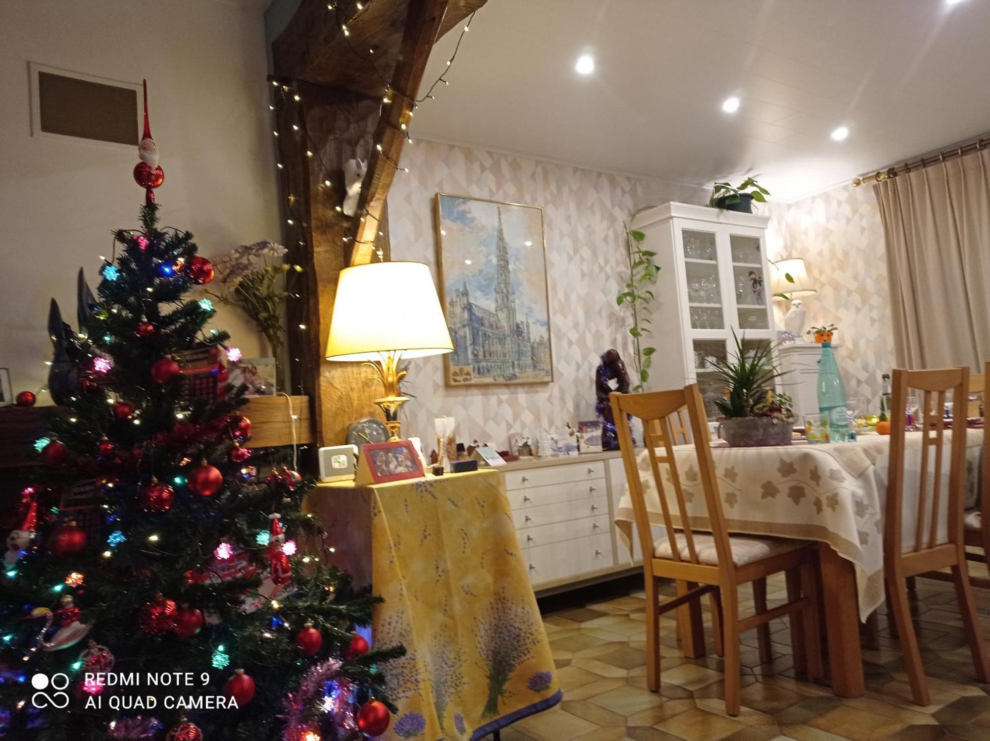 Les Ecureuils Bed & Breakfast Revin  Ngoại thất bức ảnh